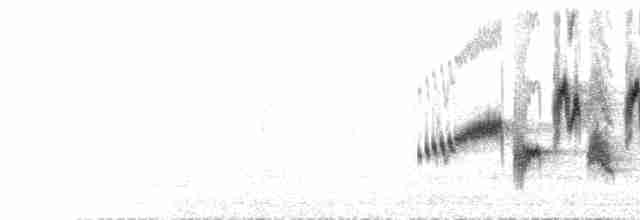 Common Redstart (Ehrenberg's) - ML536088991