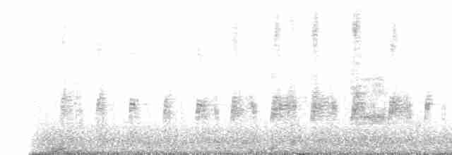 potápka bělolící - ML536106401