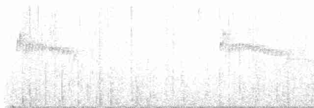 Rostbrust-Stachelschwanz - ML536121161