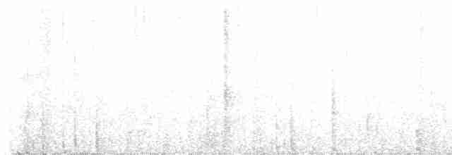 Rostbrust-Stachelschwanz - ML536121171