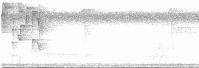 Conirostre marguerite - ML536133231