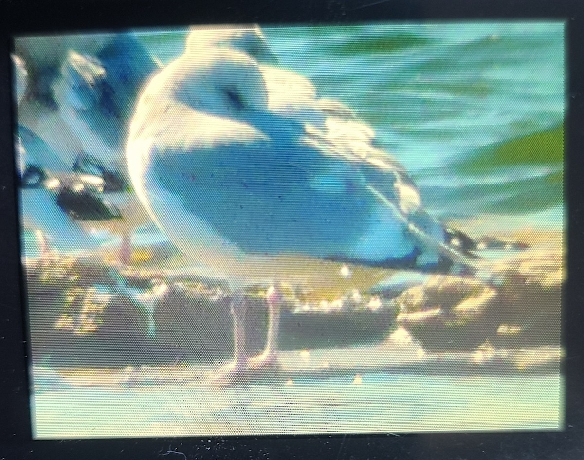 eBird Checklist 17 Feb 2023 Smithville LakeCamp Branch Marina