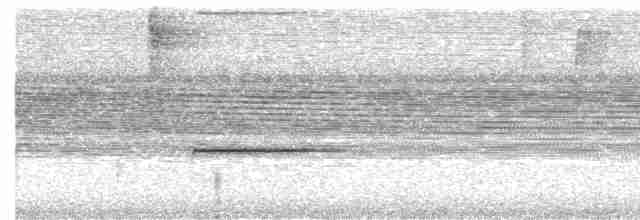 Соловьиный крапивник - ML536200951