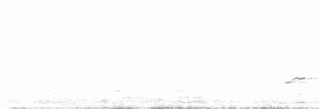 Spotless Crake - ML536217441
