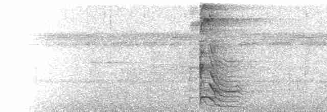  - Red-necked Woodpecker