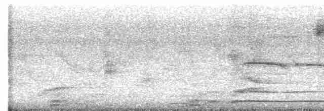 Northern Beardless-Tyrannulet - ML536251891