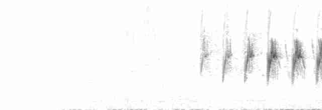 Water Pipit (Caucasian) - ML536256761