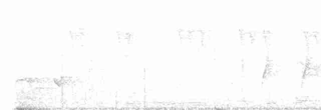 White-browed Scimitar-Babbler - ML536265991