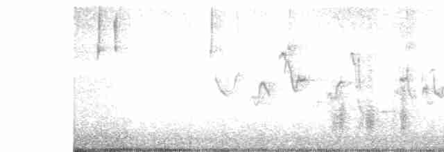Желтогорлая овсянка - ML536336271