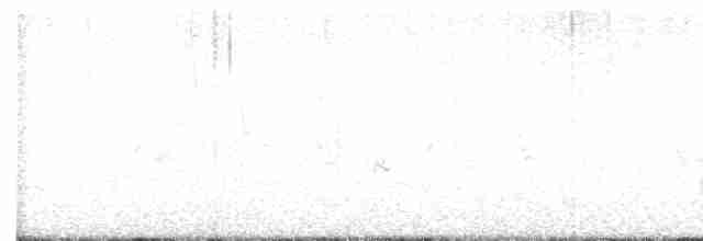 White-eyed Buzzard - ML536340001