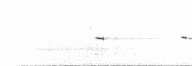 צחיחן שחור-כיפה - ML536347391