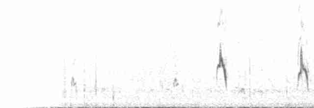 צחיחן שחור-כיפה - ML536347401