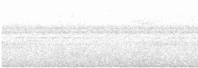 White-shouldered Antshrike - ML536392191