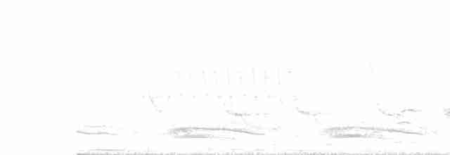 White-browed Scimitar-Babbler - ML536406351