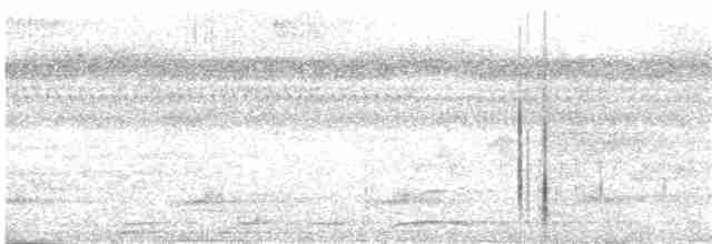 holub krátkozobý - ML53641961