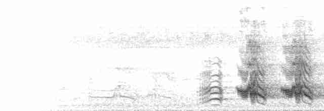  - Yellow-crowned Parrot