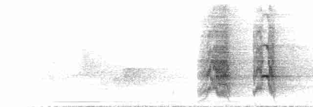  - Puerto Rican Amazon