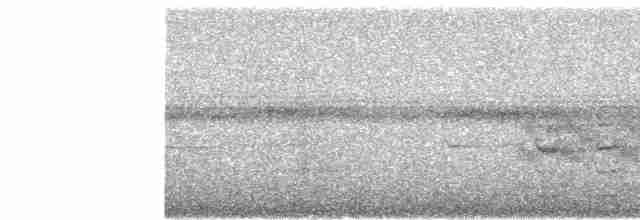 Pabuç Gagalı Tiran (pitangua) - ML53655