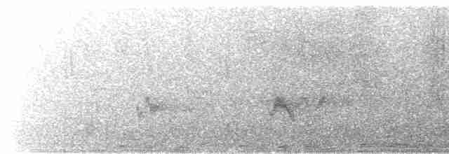 Ошейниковая канделита - ML536608371