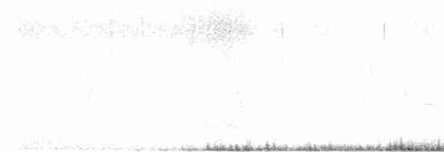 halsbåndfrankolin (henrici gr.) - ML536695581