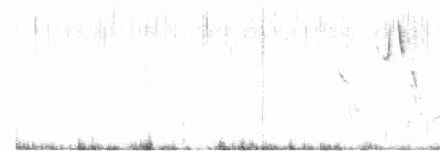 halsbåndfrankolin (henrici gr.) - ML536702431