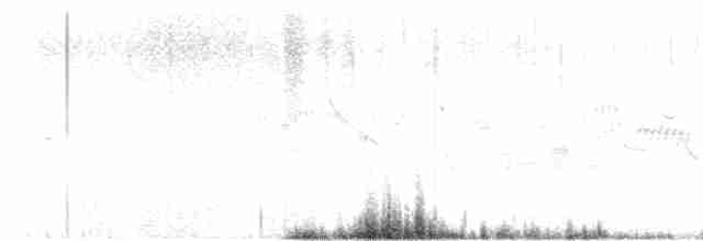 halsbåndfrankolin (henrici gr.) - ML536708171