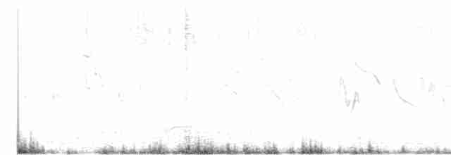 Francolin noir (groupe henrici) - ML536713361