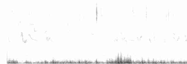 halsbåndfrankolin (henrici gr.) - ML536713721