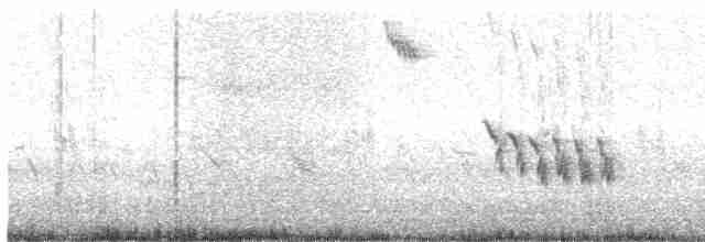 Gray Catbird - ML536732821