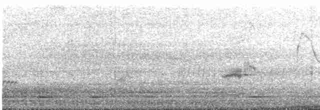 印度鵲椋鳥 - ML536901051