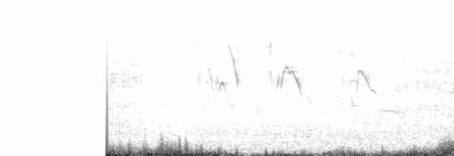 Blyth's Reed Warbler - ML536906211