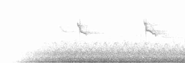 Eurasian Collared-Dove - ML536911451