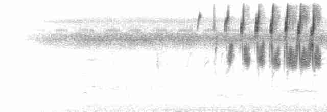  - Grassland Yellow-Finch (Northern)