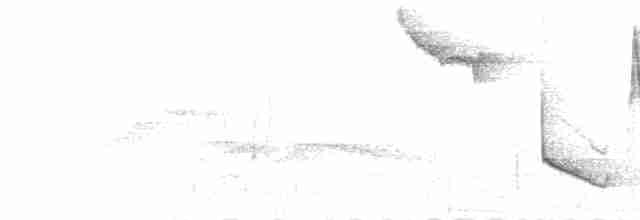  - Green-backed Sparrow