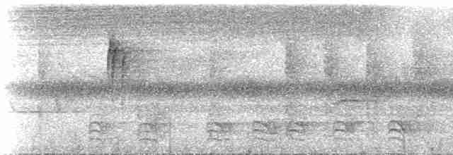 Ak Karınlı Tepeli Sinekkapan (albiventris) - ML537043