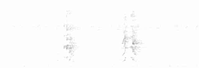 Охристый дятел-гренадер - ML537047261