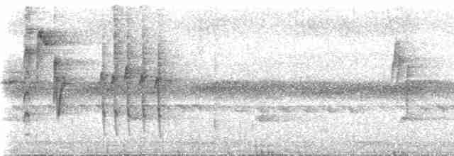 Ak Karınlı Tepeli Sinekkapan (albiventris) - ML537050