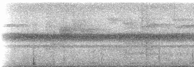Çizgili Kuyruklu Trogon - ML537053