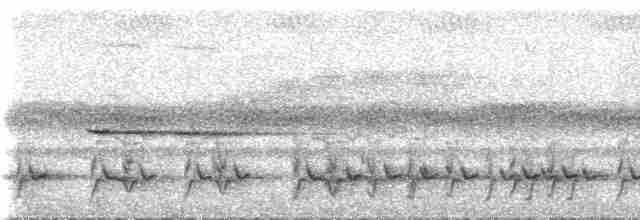 Kakameg à poitrine grise - ML537057
