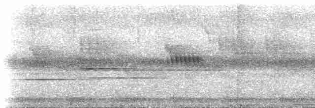Kakameg à poitrine grise - ML537068