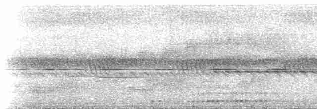 Kakameg à poitrine grise - ML537072