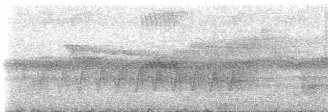 Kakameg à poitrine grise - ML537076