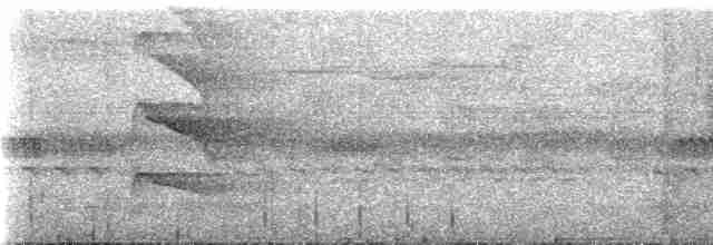 Büyük Dazlak Barbet - ML537081