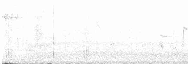 Андский крапивник - ML537081991