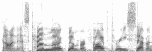 アカハラヒメシャクケイ - ML53710