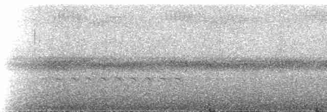 Bar-tailed Trogon - ML537102