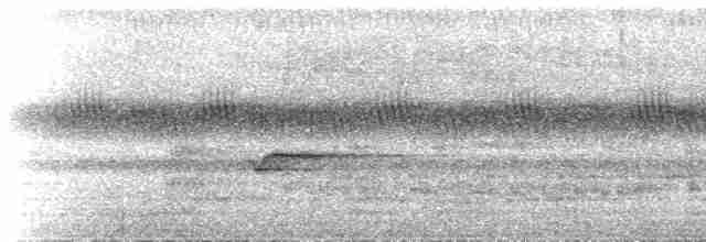 Narrow-tailed Starling - ML537109
