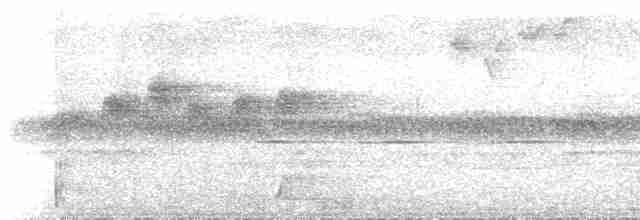 Gray-chested Babbler - ML537115