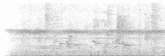 Kakameg à poitrine grise - ML537118