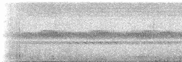 Gray-headed Nigrita - ML537124